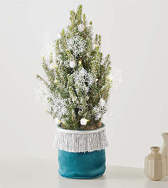 Winter Wonderland Tiny Tree - FedEx