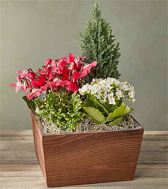 Holiday Garden - FedEx