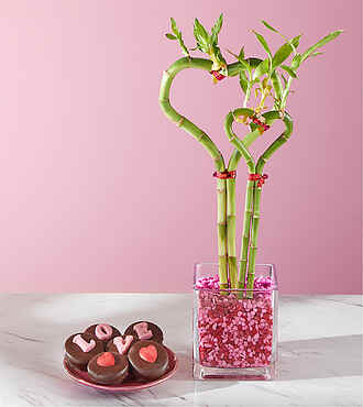 Double Heart Bamboo Plant and Love Oreos - FedEx