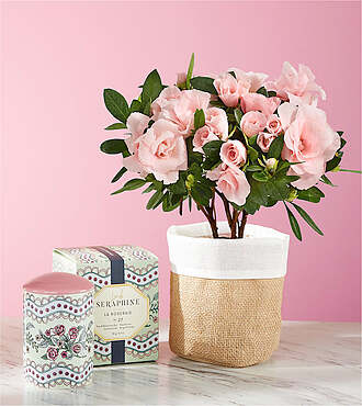 Pink Rosalea and L'or de Seraphine La Roseraie Candle - FedEx