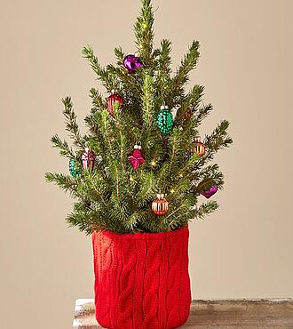 Season's Greetings Mini Christmas Tree - FedEx
