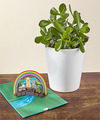Image of Standard version for Jade Succulent and Rainbow Bridge Lovepop Pop - Up Card - FedEx
