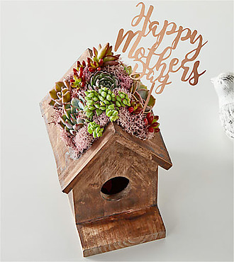 Mother's Day Succulent Birdhouse - FedEx