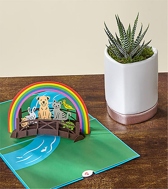 Zebra Haworthia Succulent and Rainbow Bridge Lovepop Pop - Up Card - FedEx