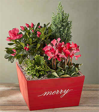 Holiday Traditions Garden - FedEx