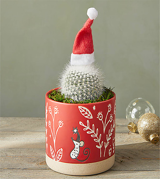 Santa Cactus - FedEx