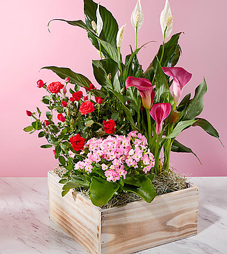 Love You More Garden - FedEx - P4193