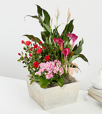 Love You More Garden and Happy Mother's Day Pick - FedEx - P4193MP