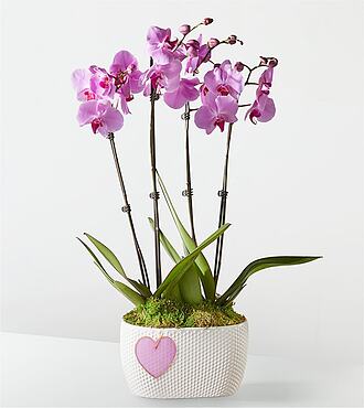 Pink Orchid Garden with Mom Heart Keepsake - FedEx - P4203H