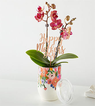 Happy Mother's Day Orchid in Corkcicle Cup - FedEx