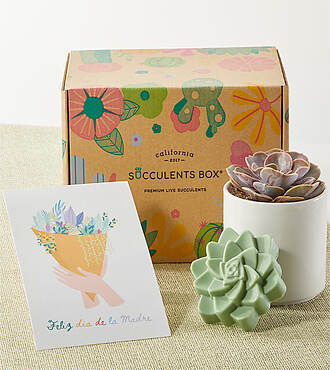 Feliz Dia de la Madre Succulent Gift Box - FedEx