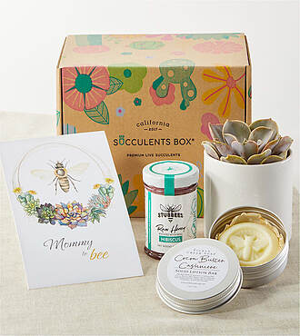 Mom to Be Succulent Gift Box - FedEx