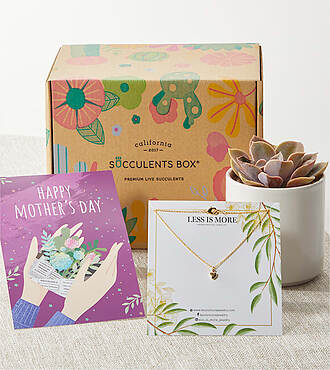 Happy Mother's Day Succulent Gift Box - FedEx