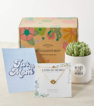 Pet Mom Succulent Gift Box - FedEx