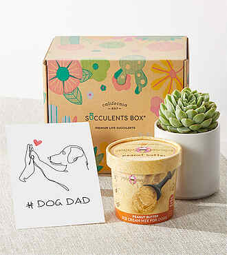 Dog Dad Succulent Gift Box - FedEx