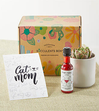 Cat Mom Succulent Gift Box - FedEx
