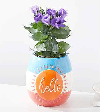 Hello Sunshine Lisianthus Plant - FedEx