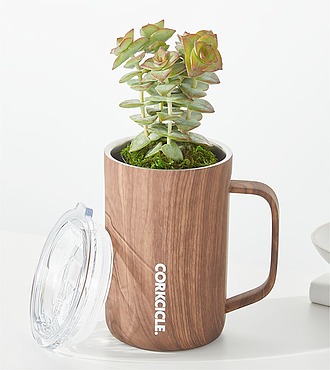Succulent in Corkcicle Mug - FedEx