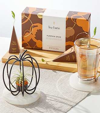 Wire Pumpkin Air Plant with Tea - FedEx