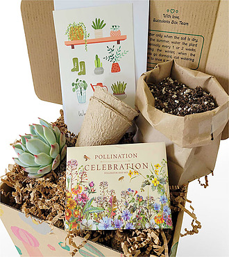 Earth Day Succulent Gift Box - FedEx