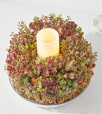 Succulent centerpiece with candle - FedEx