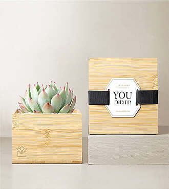 Lula's Garden Bamboo Bliss - You Did It - FedEx