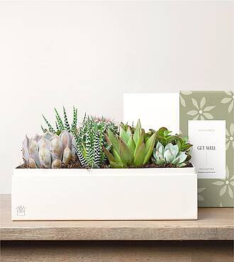 Lula's Lush Garden - Get Well - FedEx