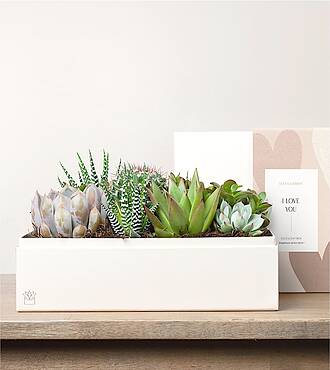 Lula's Lush Garden - I Love You - FedEx