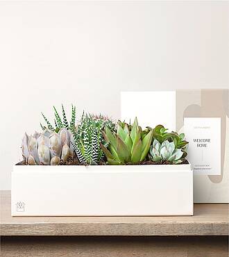 Lula's Lush Garden - Welcome Home - FedEx