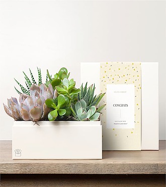 Lula's Urban Garden - Congrats - FedEx