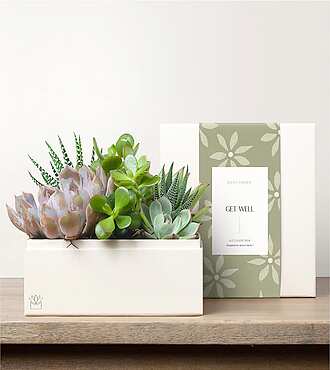 Lula's Urban Garden - Get Well - FedEx