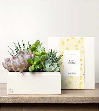 Lula's Urban Garden - Happy Birthday - FedEx
