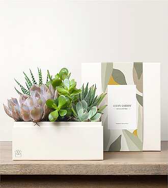 Lula's Urban Garden - FedEx