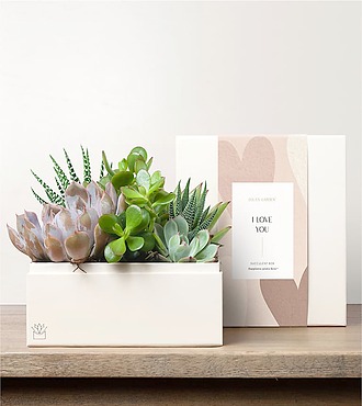 Lula's Urban Garden - I Love You - FedEx