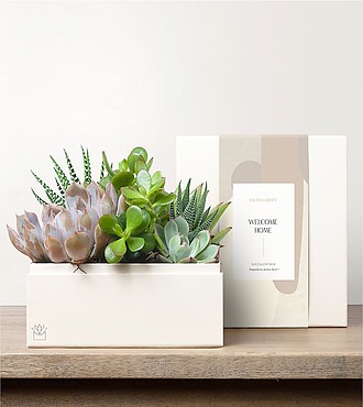 Lula's Urban Garden - Welcome Home - FedEx