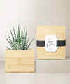 Image of Standard version for Lula's Garden - Birthday Bamboo Gardens - Bamboo Zebra - FedEx