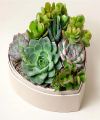 Image of Standard version for Lula's Heart Garden - FedEx