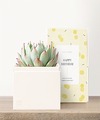Image of Standard version for Lula's Garden - Birthday Petite Gardens - Bliss Garden - FedEx