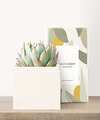 Image of Standard version for Lula's Garden - Petite Gardens - Bliss Garden - FedEx