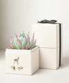 Image of Standard version for Lula's Garden - Autumn Gardens - Bliss Garden - FedEx
