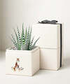 Image of Standard version for Lula's Garden - Autumn Gardens - Petite Zebra Garden - FedEx