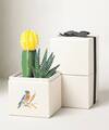 Image of Standard version for Lula's Garden - Autumn Gardens - Ray Garden - FedEx