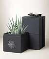 Image of Standard version for Lula's Garden - Halloween Gardens - Petite Zebra Garden - FedEx