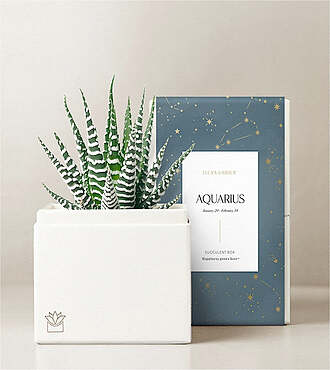 Lula's Garden - Zodiac Gardens - Aquarius - FedEx - P4537