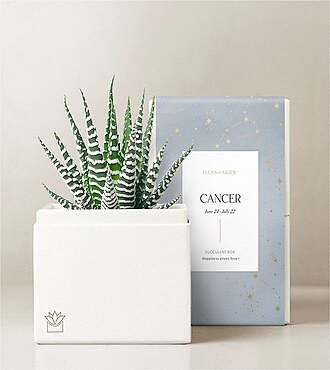 Lula's Garden - Zodiac Gardens - Cancer - FedEx - P4539