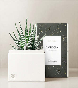 Lula's Garden - Zodiac Gardens - Capricorn - FedEx - P4540