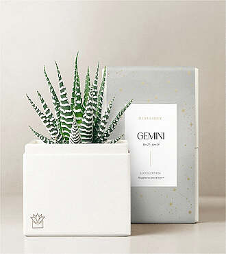 Lula's Garden - Zodiac Gardens - Gemini - FedEx - P4541