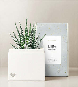Lula's Garden - Zodiac Gardens - Libra - FedEx - P4543