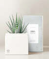 Image of Standard version for Lula's Garden - Zodiac Gardens - Libra - FedEx