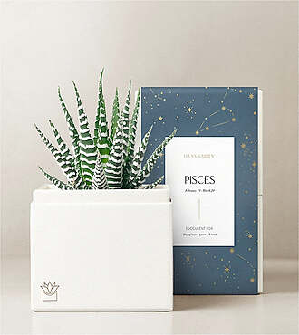 Lula's Garden - Zodiac Gardens - Pisces - FedEx - P4544
